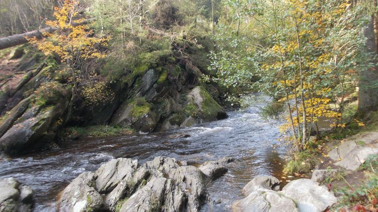 Ein klarer Fluss fließt zwischen großen steinigen Ufern. Bunte Bäume umgeben das Wasser und schaffen eine ruhige, natürliche Umgebung.