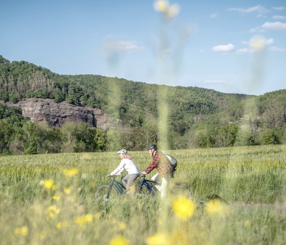 On the RurUfer cycle path along the red sandstone cliffs in the Rur valley, © Dennis Stratmann | Grünmetropole e.V.