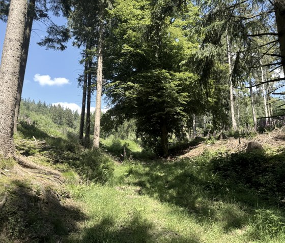 IMG_6788, &copy; Rureifel-Tourismus e.V., Dennis Winands