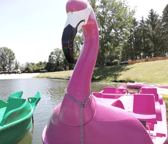 Badesee Echtz Tretboot, &copy; WIN.DN GmbH, Foto: Angela Wolter