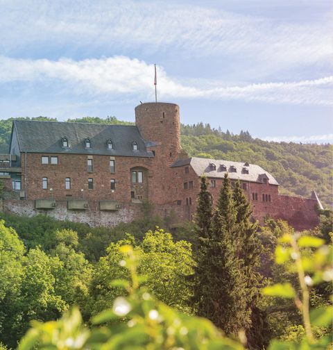 Eine beeindruckende Burg, umgeben von grünen Bäumen und Hügeln. Der Himmel ist klar und die Landschaft wirkt friedlich.