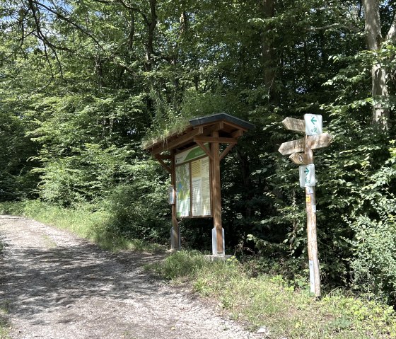 IMG_2349, &copy; Rureifel-Tourismus e.V., Michelle Wiesen