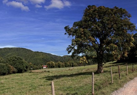 Blick &uuml;ber Felder und Wiesen