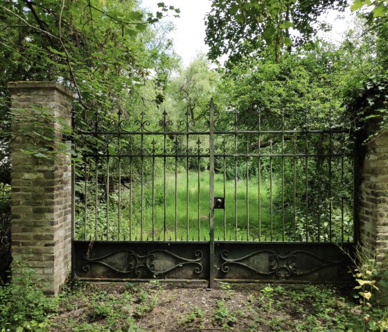 Im Wald von Schloss Burgau., &copy; Sophia Eckerle | Kreis D&uuml;ren