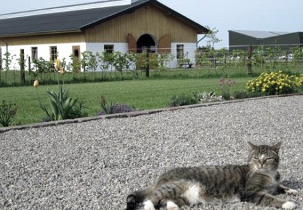 Blick auf den Reiterhof