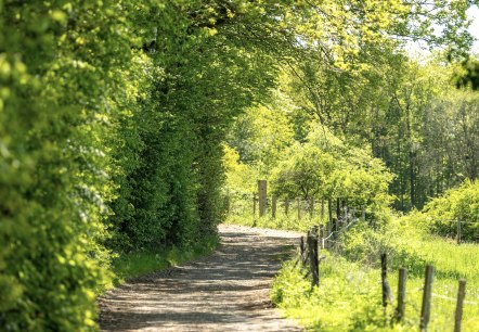 Am Birkenhof, &copy; Kupferstadt Stolberg, Dominik Ketz