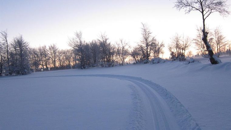 Eine verschneite Landschaft mit einem kurvigen Weg, der durch die weiße Pracht führt. Im Hintergrund sind schneebedeckte Bäume und ein sanfter Himmel zu sehen.