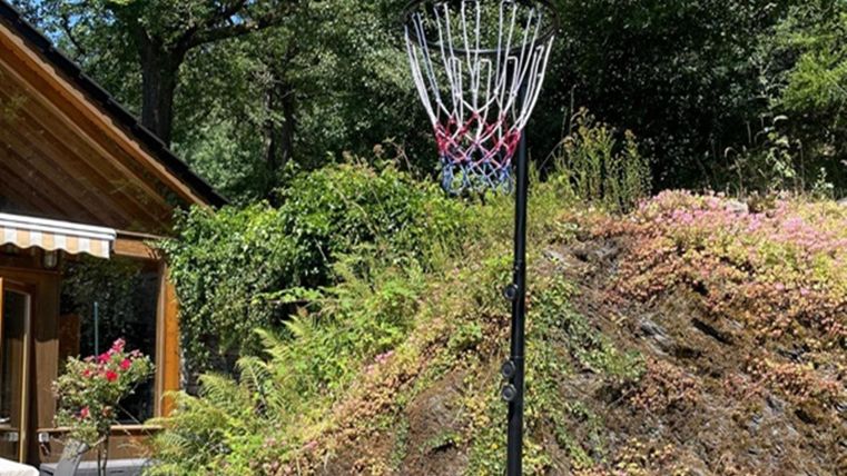 Ein Basketballkorb steht in einem Garten mit üppigem Grün. Im Hintergrund ist ein Holzhaus zu sehen.