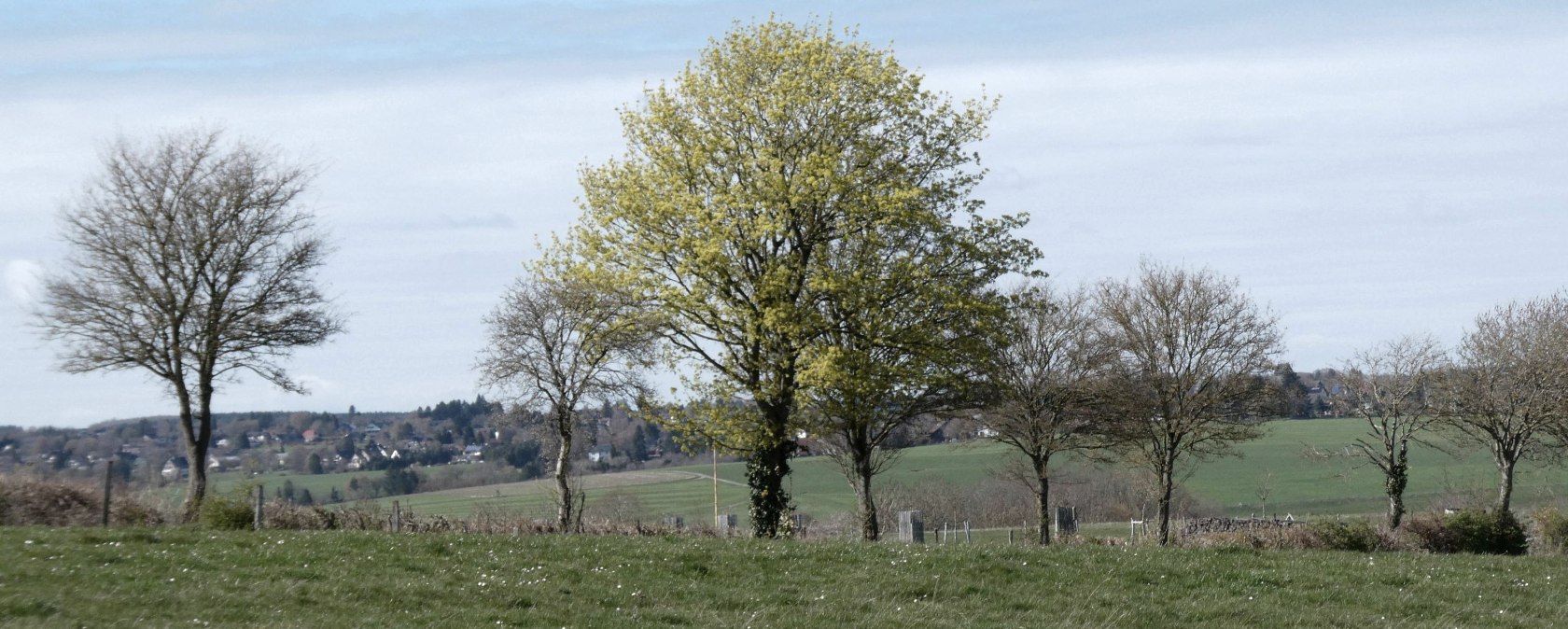 Landschaft, &copy; Eifel heimisch