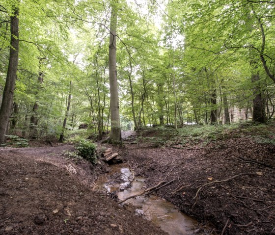 MTB-Tour Schlossrunde (Freifahrt Eifel Runde A), &copy; some.oner