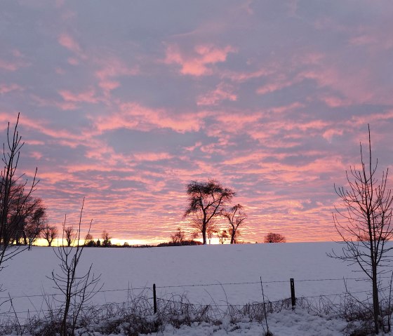 Abendgl&uuml;hen Schnee (co) Thei&szlig;en-Braun
