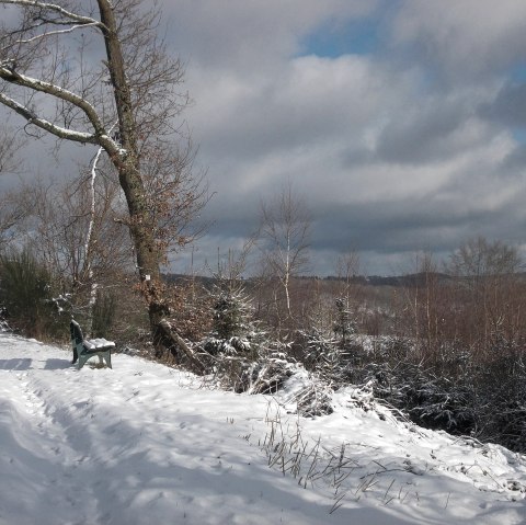 Winterlandschaft, © Eifel heimisch
