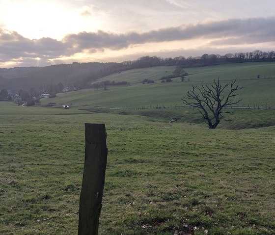 Vichttal Wiesen M&auml;rz