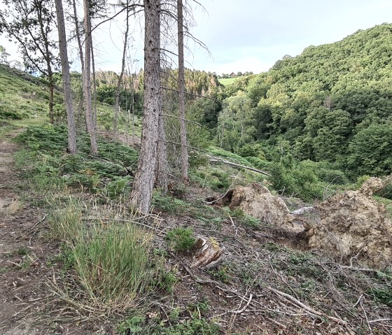 Small circular trail