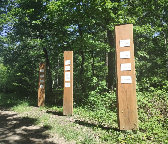 Stockheim historical hiking trail, &copy; Sophia Eckerle