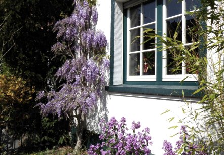 Privatzimmer Buttlar 02