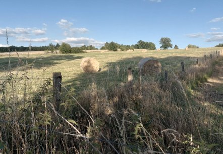 Heuballen Sommerhimmel (co) Thei&szlig;en-Braun