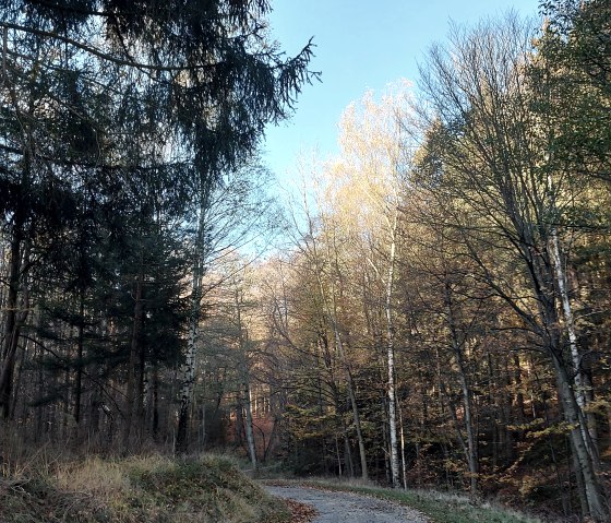 Novemberstimmung (co) Thei&szlig;en-Braun