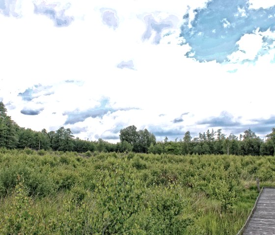 Sentier p&eacute;dologique au Todtenbruch, &copy; Rureifel Tourismus e.V. - Dennis Winands