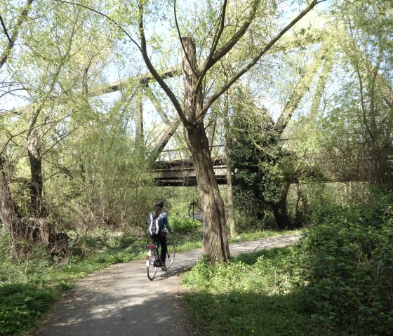 tour du lac2, &copy; D&uuml;ren Tourismus