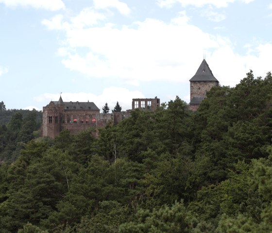 View of Nideggen Castle from the discovery trail, &copy; Eifel Tourismus GmbH, Tobias Vollmer - gef&ouml;rdert durch REACT-EU