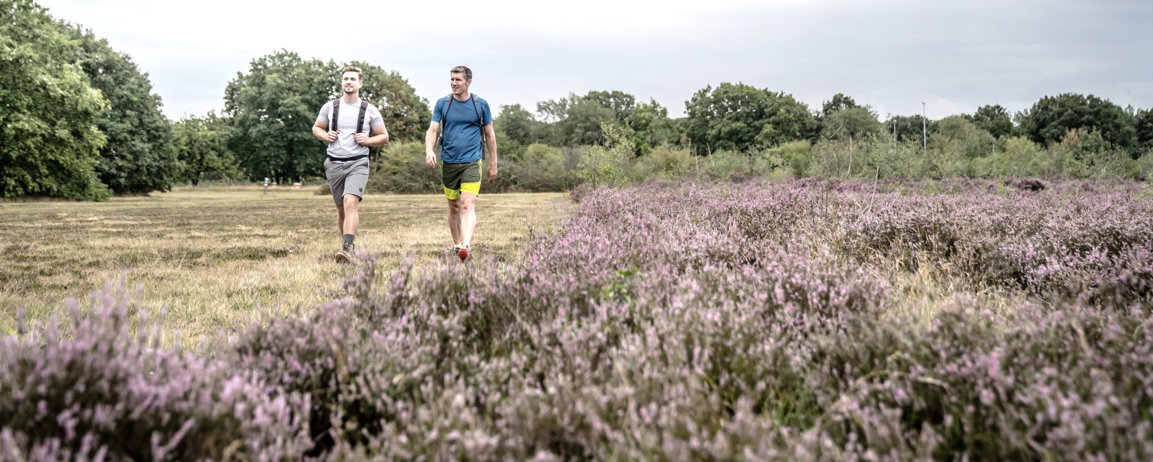 Excursie naar de Drover Heath, © Dennis Stratmann, Kreis Düren