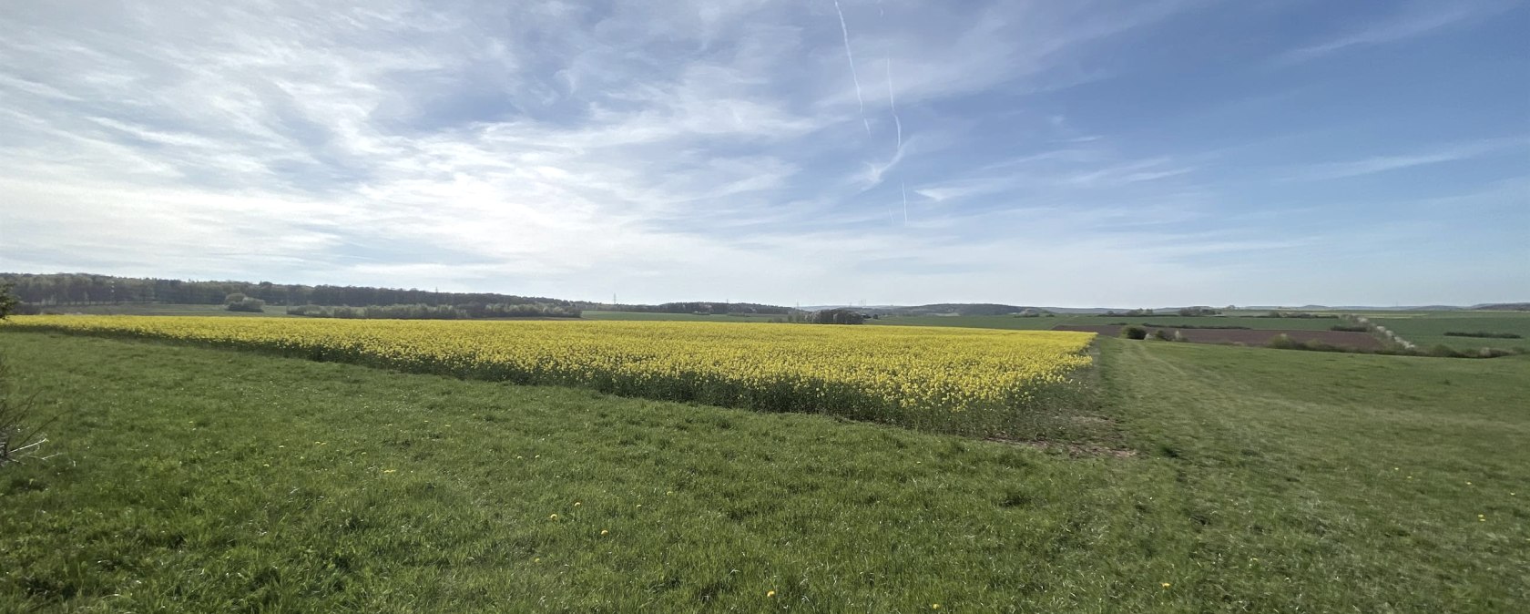 Blick auf den Burgberg, © Rureifel-Tourismus e.V.