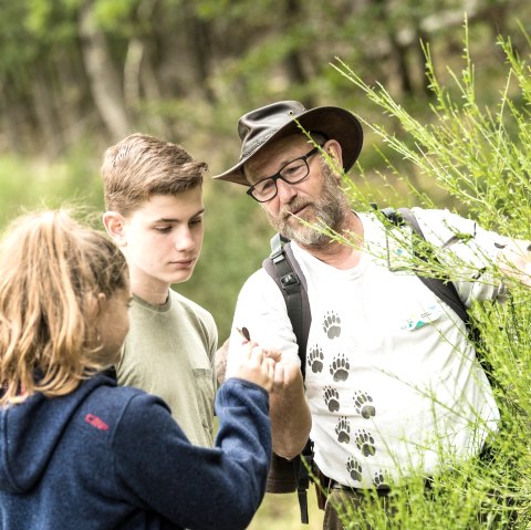 Familientour mit Waldführer