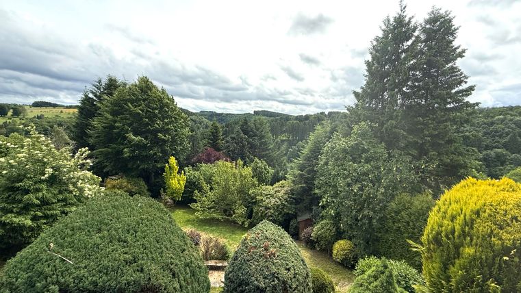 Eine grüne Gartenlandschaft mit verschiedenen Bäumen und Sträuchern. Der Himmel ist bewölkt und es ist eine ruhige, natürliche Umgebung.