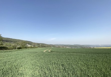 Bördelandschaft mit weitem Blick, © Rureifel-Tourimus e.V.