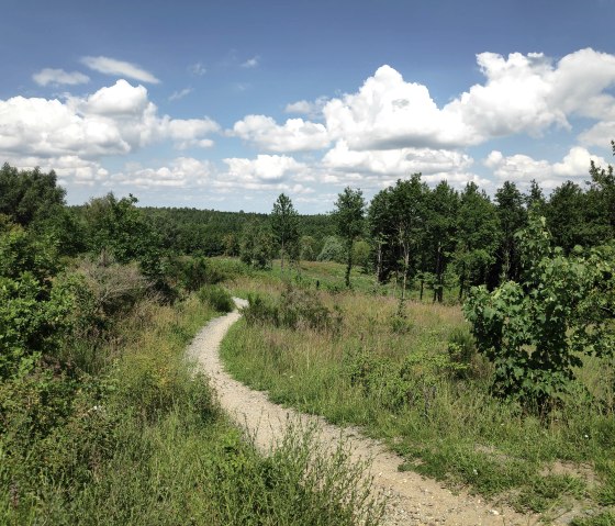 Sophienh&ouml;he wandelroute, &copy; Sophia Eckerle | Kreis D&uuml;ren