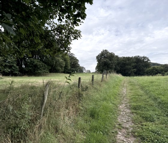 IMG_7497, © Rureifel-Tourismus e.V., Dennis Winands