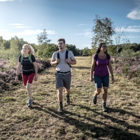 Droverheide, © Dennis Stratmann | Kreis Düren