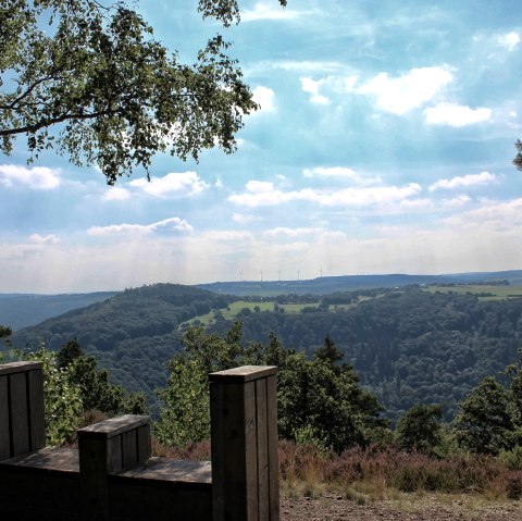 Eifel-Blick Kuhkopf, &copy; Rureifel-Tourismus e.V.