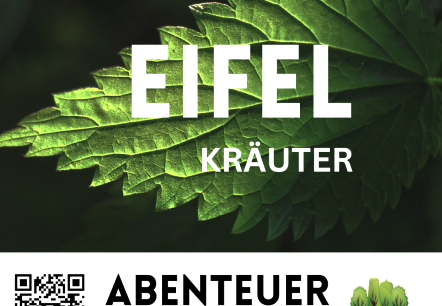 Natur Pur - Kr&auml;uter, &copy; Natur Pur - Eifel