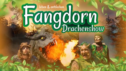 Fangdorn - Drachenshow im Brückenkopf-Park