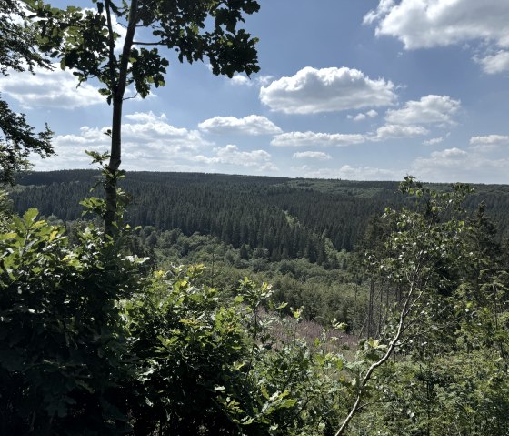 IMG_6800, &copy; Rureifel-Tourismus e.V., Dennis Winands