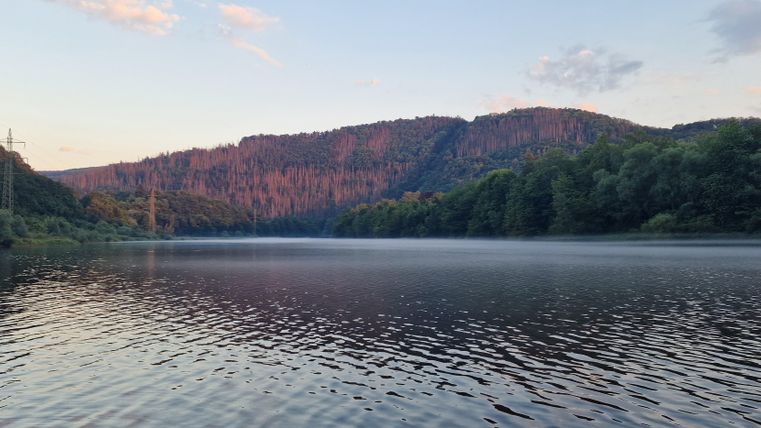 Ein ruhiger See umgeben von bewaldeten Hügeln. Der Himmel ist leicht bewölkt und das Licht der Abenddämmerung reflektiert sich im Wasser.