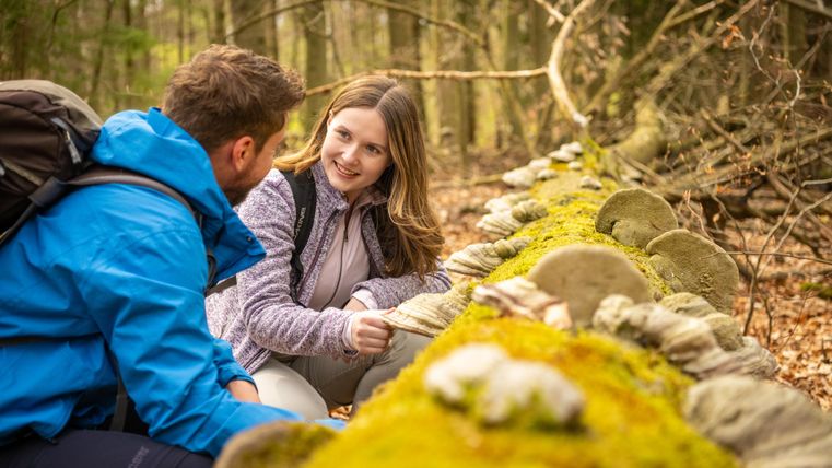 Ein Paar sitzt an einer mit Moos bewachsenen Steinmauer im Wald. Sie unterhalten sich und genießen die Natur um sich herum.