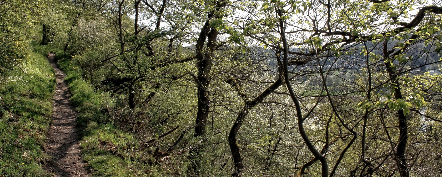 En route sur des sentiers naturels