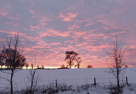 Abendgl&uuml;hen Schnee (co) Thei&szlig;en-Braun