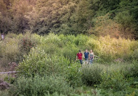 Bodenlehrpfad "Todtenbruch", &copy; Kreis D&uuml;ren, Dennis Stratmann