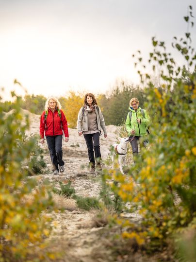 Wandern am Höller Horn auf der Sophienhöhe im indeland