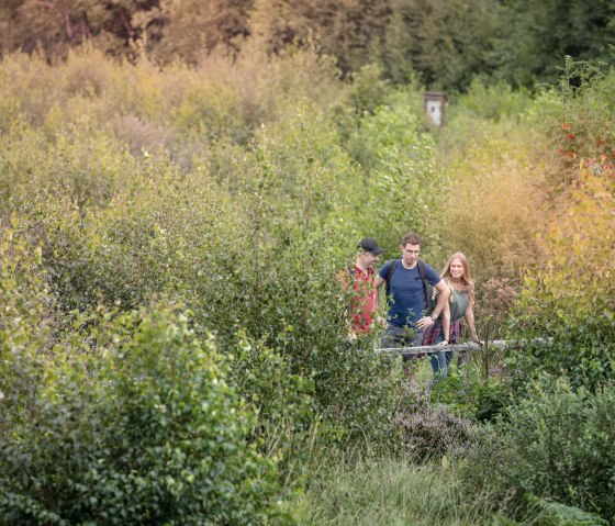 Bodenlehrpfad Todtenbruch, &copy; Kreis D&uuml;ren, Dennis Stratmann