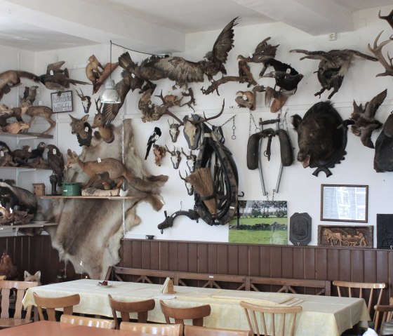 Troph&auml;en in der Uraalt Scholl, &copy; Heimatverein M&uuml;tzenicht