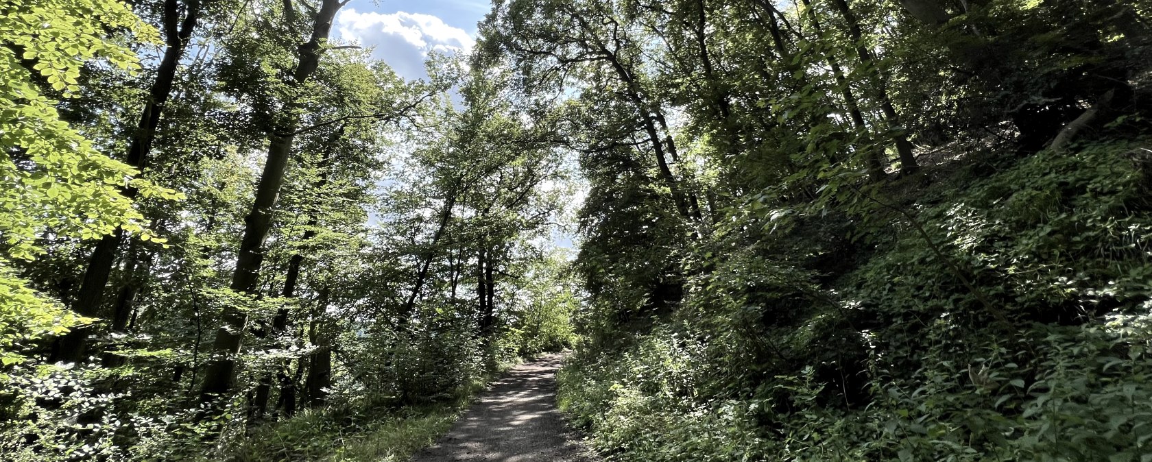 IMG_2355, &copy; Rureifel-Tourismus e.V., Michelle Wiesen