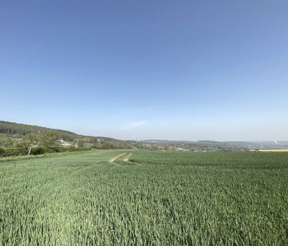 Bördelandschaft mit weitem Blick, © Rureifel-Tourimus e.V.