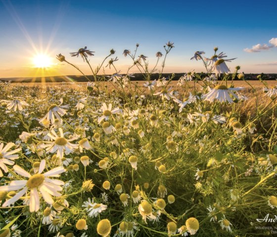 Zonsondergang bij Hürtgenwald-Grosshau, © Andy Holz | Kreis Düren