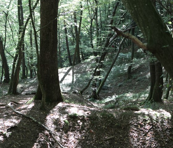 Untouched nature