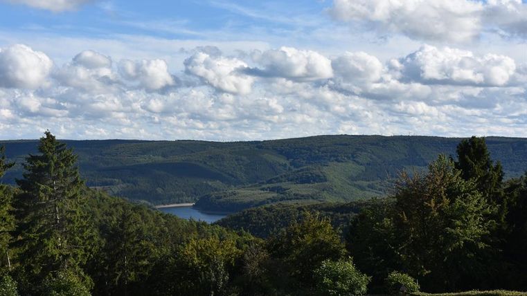 Eine malerische Landschaft mit Bergen und einem See im Hintergrund. Der Himmel ist mit vielen Wolken bedeckt und die Bäume sind grün.